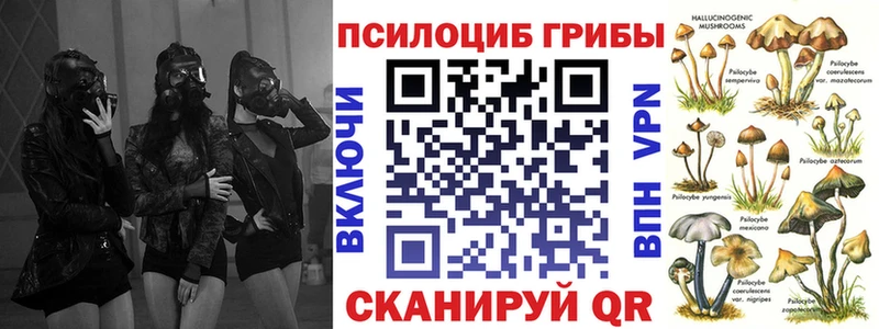 закладки Озёрск кракен как зайти Галлюциногенные грибы MAGIC MUSHROOMS